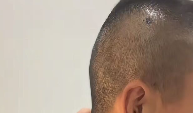 都市快报 都市快报