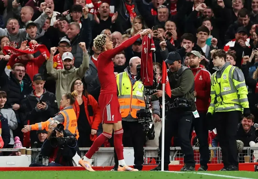 无脑, 进账 无脑, 进账